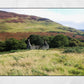 Isle of Arran Bothy Scotland Landscape Photography Poster