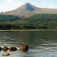 Isle of Arran Goatfell Scotland Landscape Photography Art