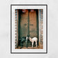 Goat Photography Varanasi India Wall Art