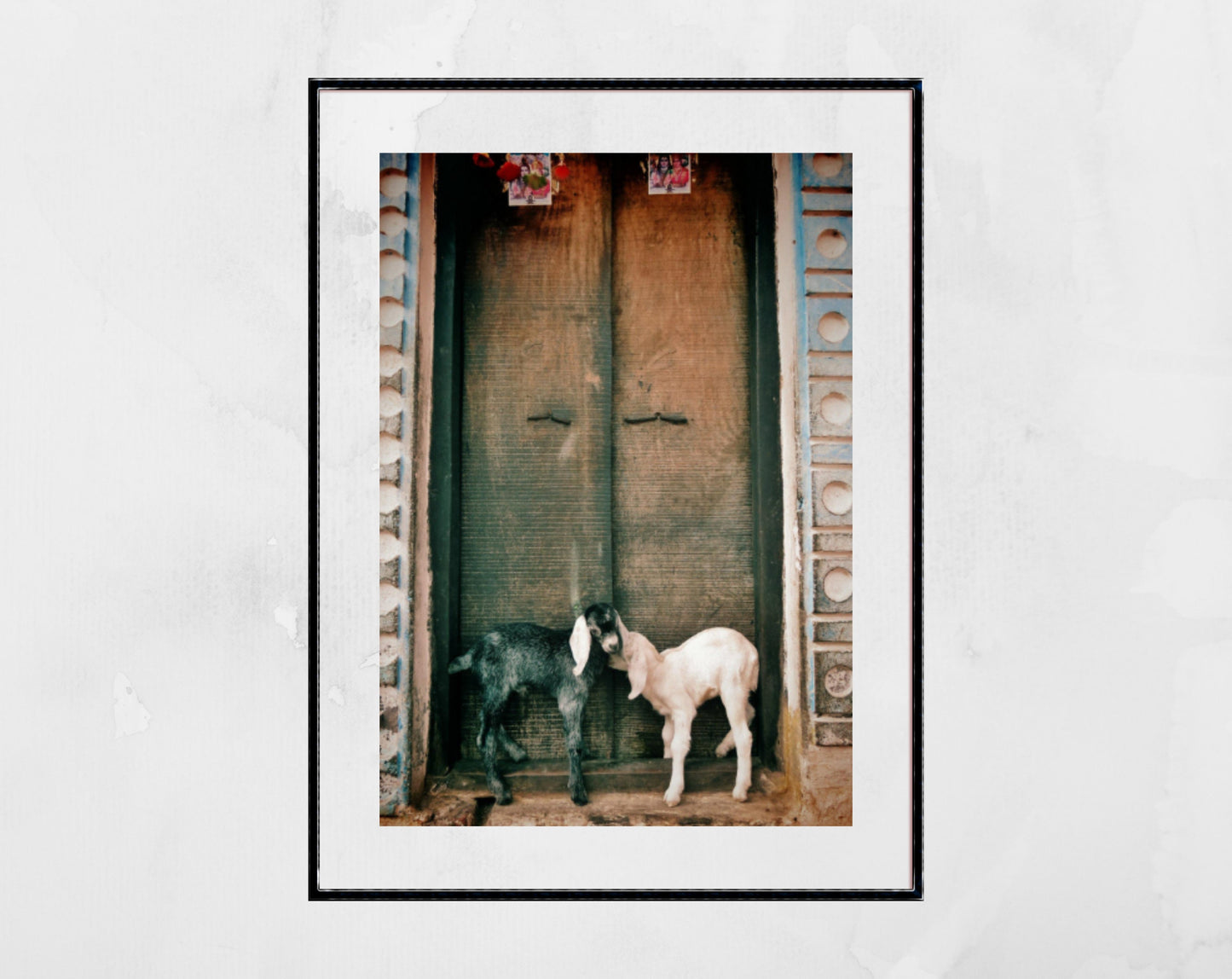Goat Photography Varanasi India Wall Art