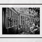 India Matheran Toy Train Black And White Photography Print