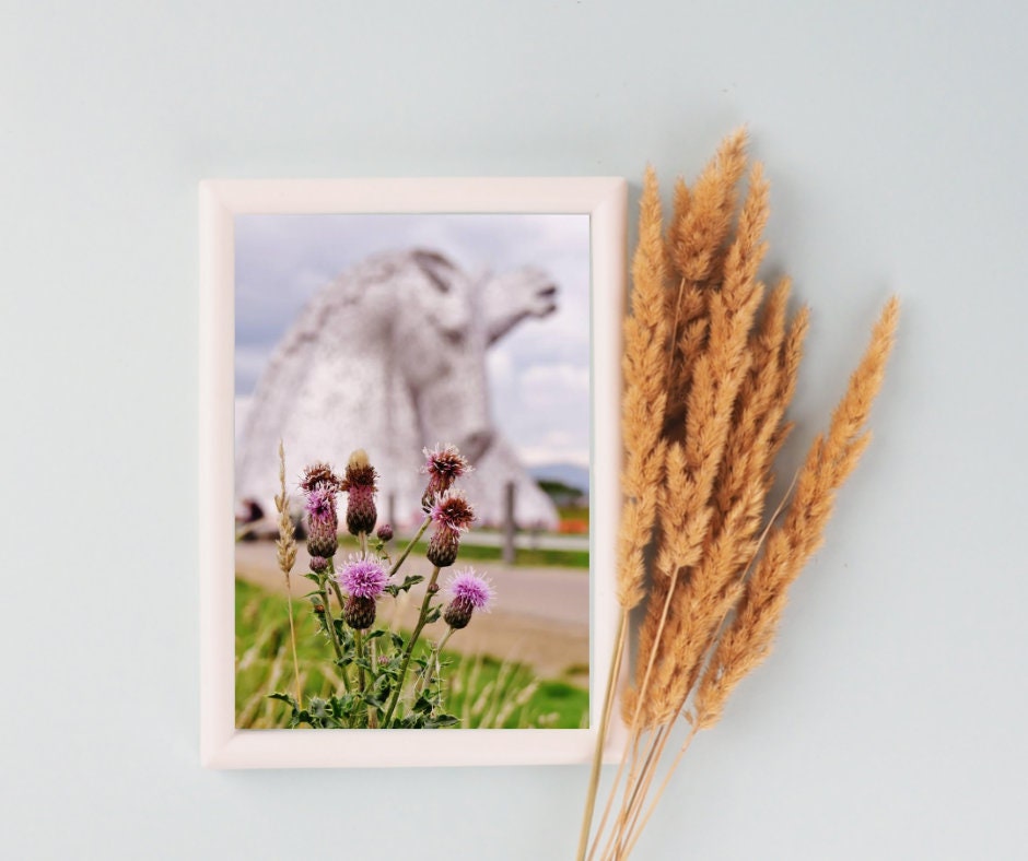 Scotland Photography Falkirk Kelpies Scottish Thistle Print