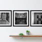 Anarchist Socialist Feminist Black And White Gallery Wall Set Of Three