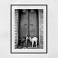 Goat Picture Black And White Varanasi India Poster