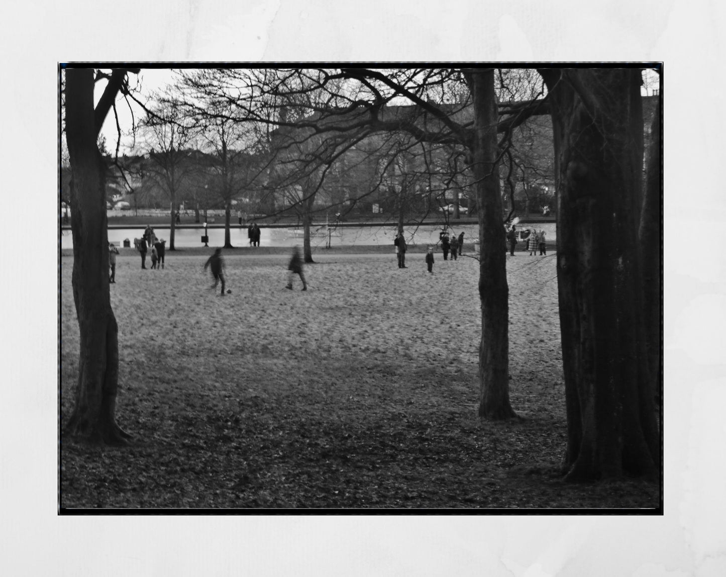 Glasgow Queen's Park Pond Photography Print