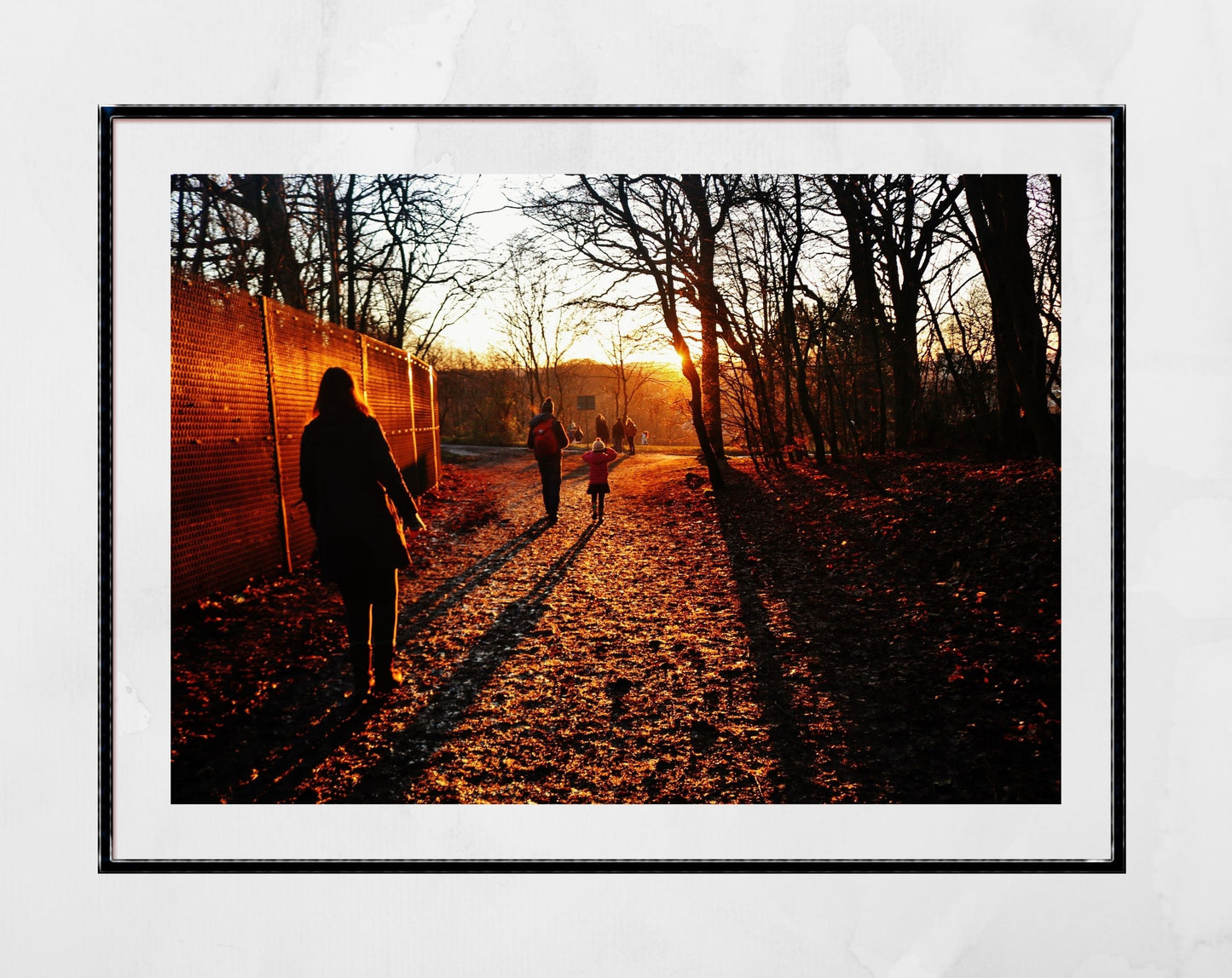 Glasgow Queen's Park Sunlight Photography Print