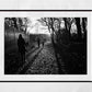 Glasgow Queen's Park Shadow Photography Print