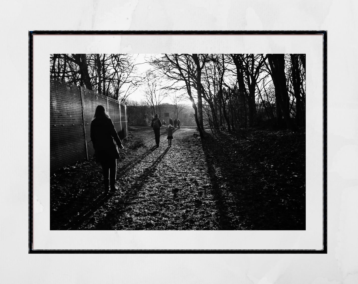 Glasgow Queen's Park Shadow Photography Print