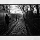 Glasgow Queen's Park Shadow Photography Print