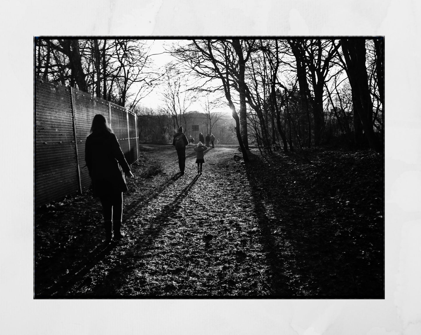 Glasgow Queen's Park Shadow Photography Print