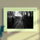 Glasgow Queen's Park Shadow Photography Print