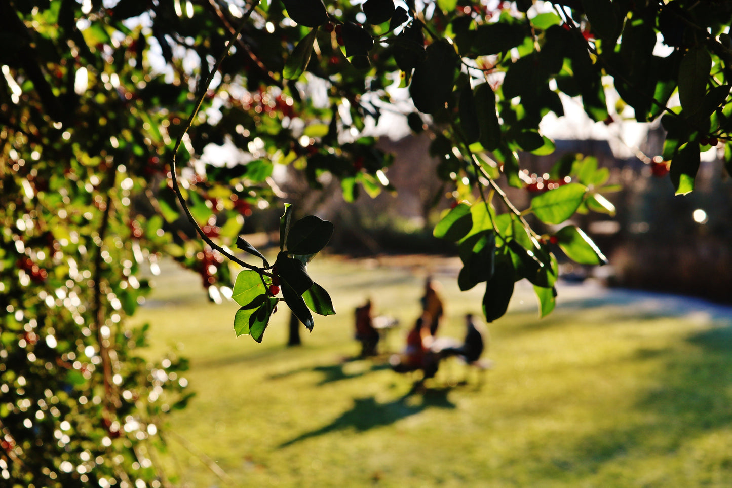 Maxwell Park Pollokshields Glasgow Photography Print