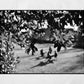 Maxwell Park Pollokshields Glasgow Black And White Photography Print