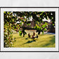 Maxwell Park Pollokshields Glasgow Photography Print