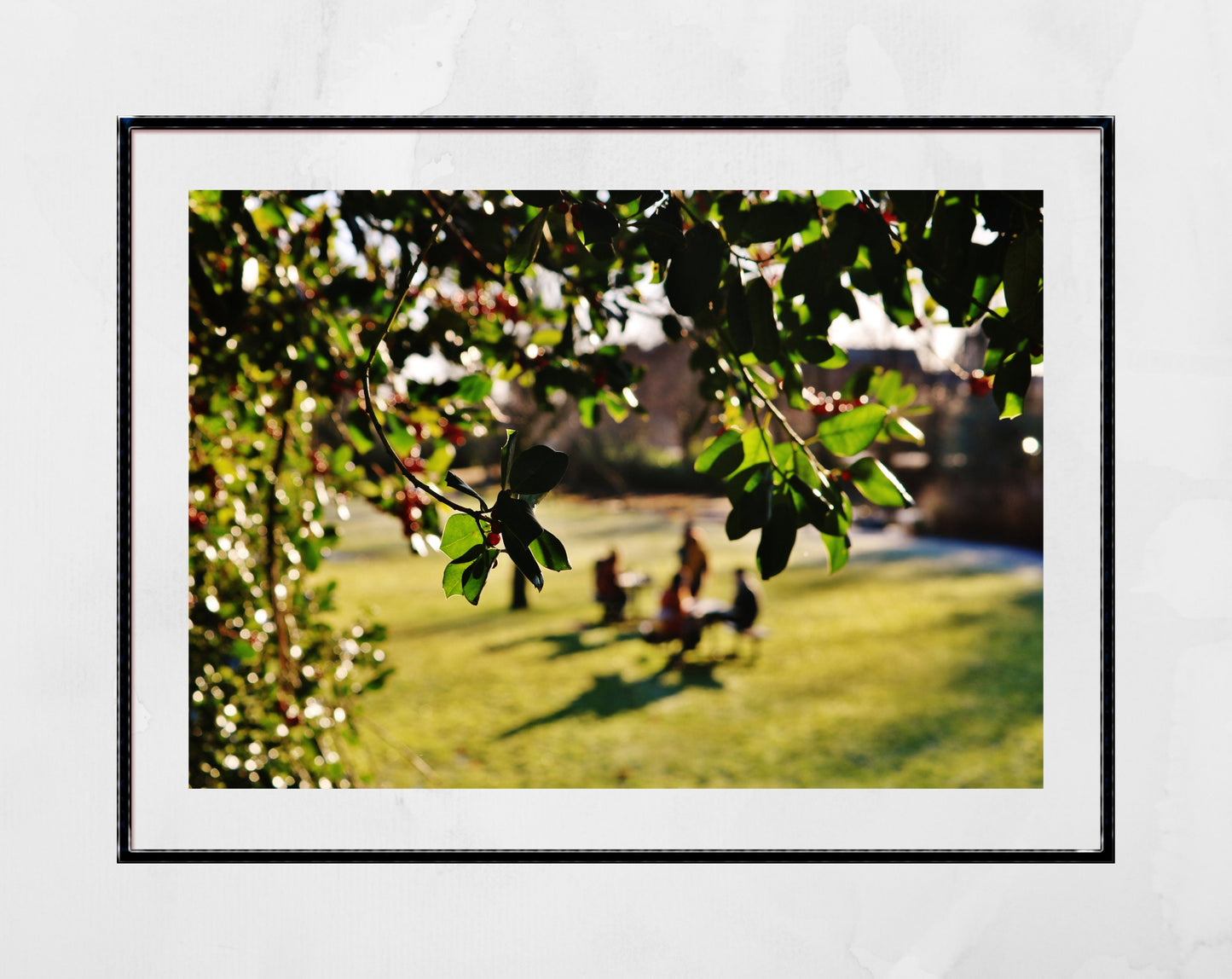 Maxwell Park Pollokshields Glasgow Photography Print