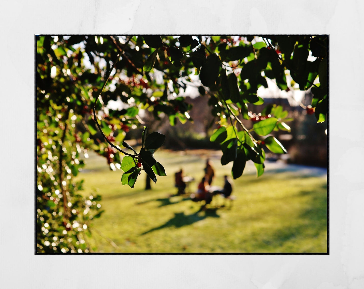 Maxwell Park Pollokshields Glasgow Photography Print