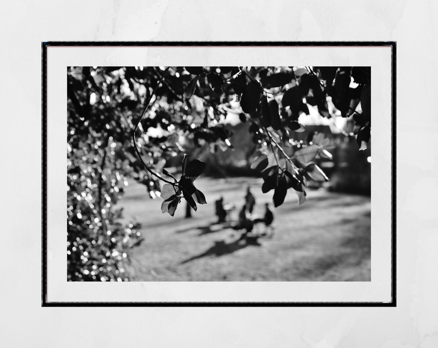 Maxwell Park Pollokshields Glasgow Black And White Photography Print