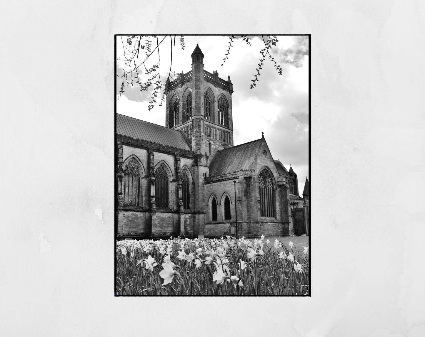 Paisley Abbey Black And White Photography Print