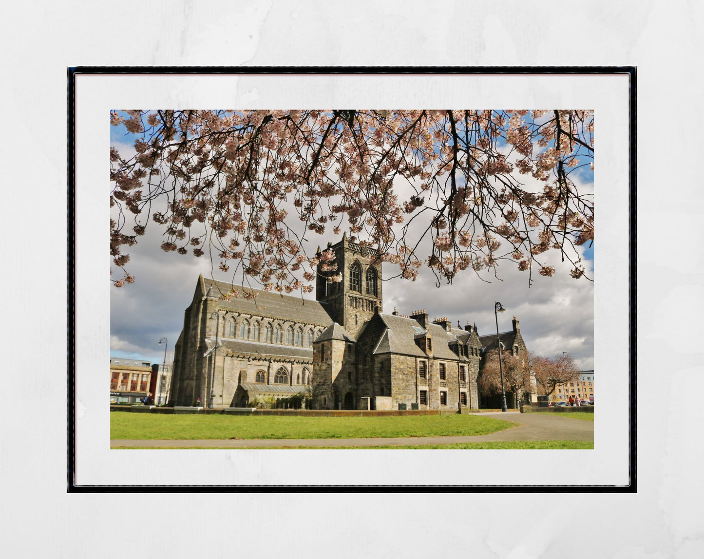 Paisley Abbey Photography Wall Decor