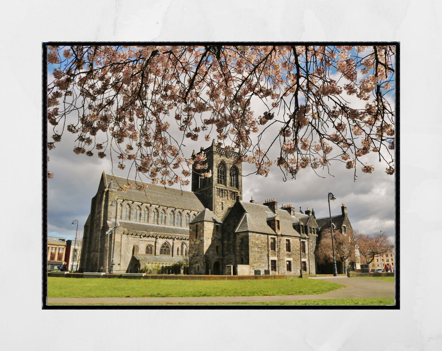 Paisley Abbey Photography Wall Decor