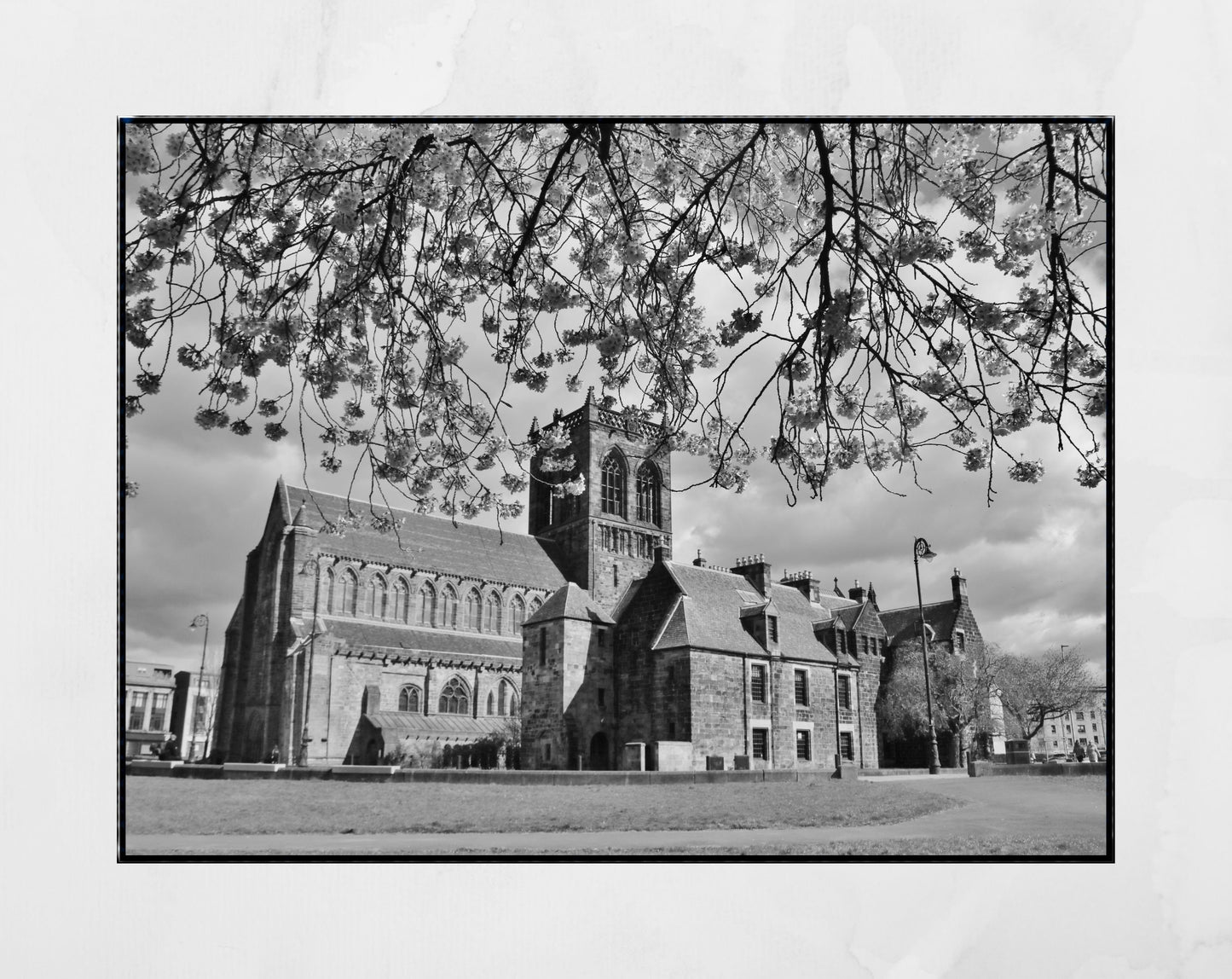 Paisley Abbey Black And White Photography Wall Decor