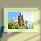 Glasgow University Photography Print Daffodil Wall Art