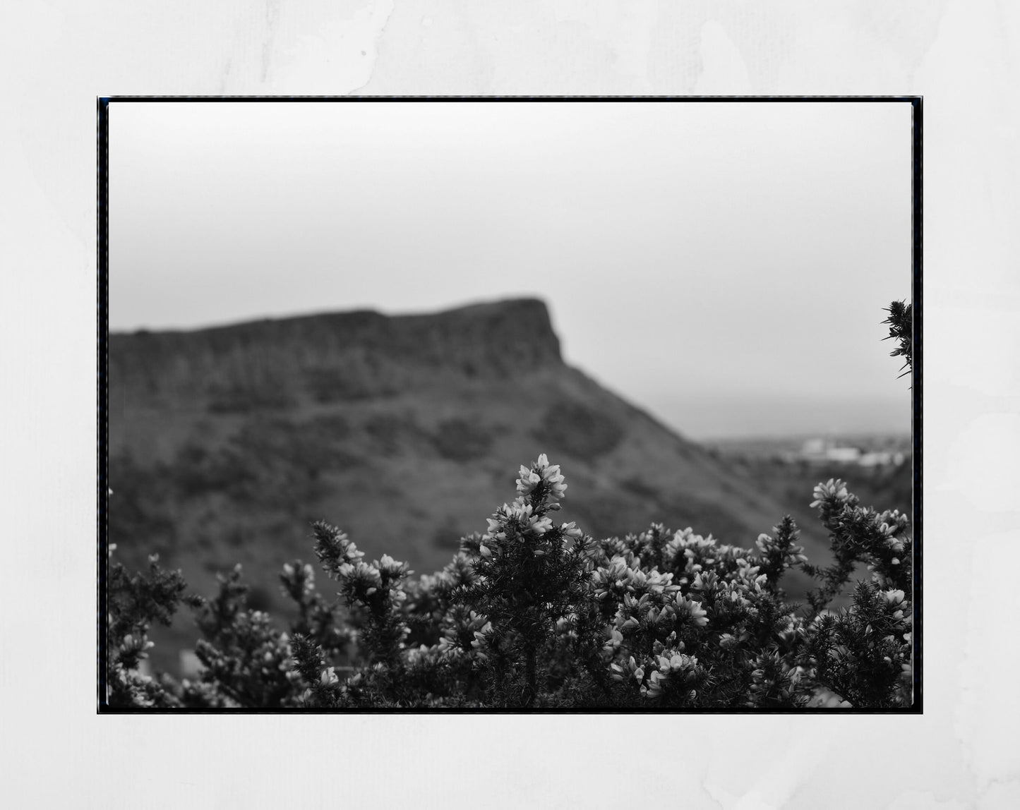 Arthur's Seat Edinburgh Black And White Photography Print