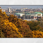 Hibernian FC Easter Road Photography Print