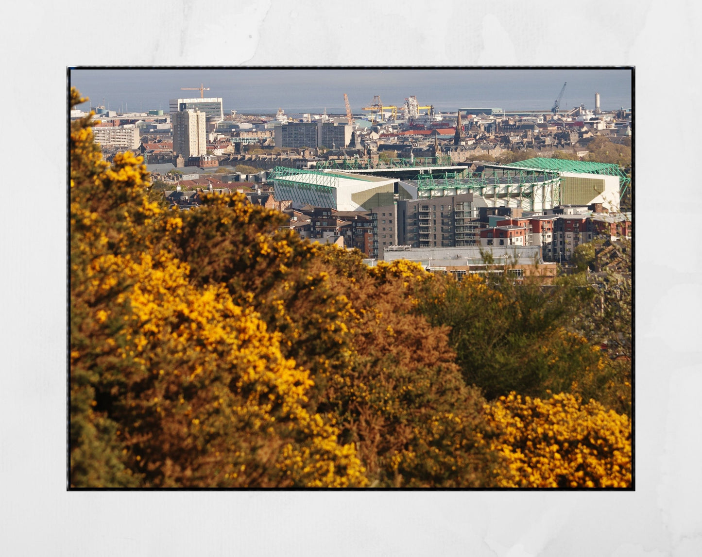 Hibernian FC Easter Road Photography Print