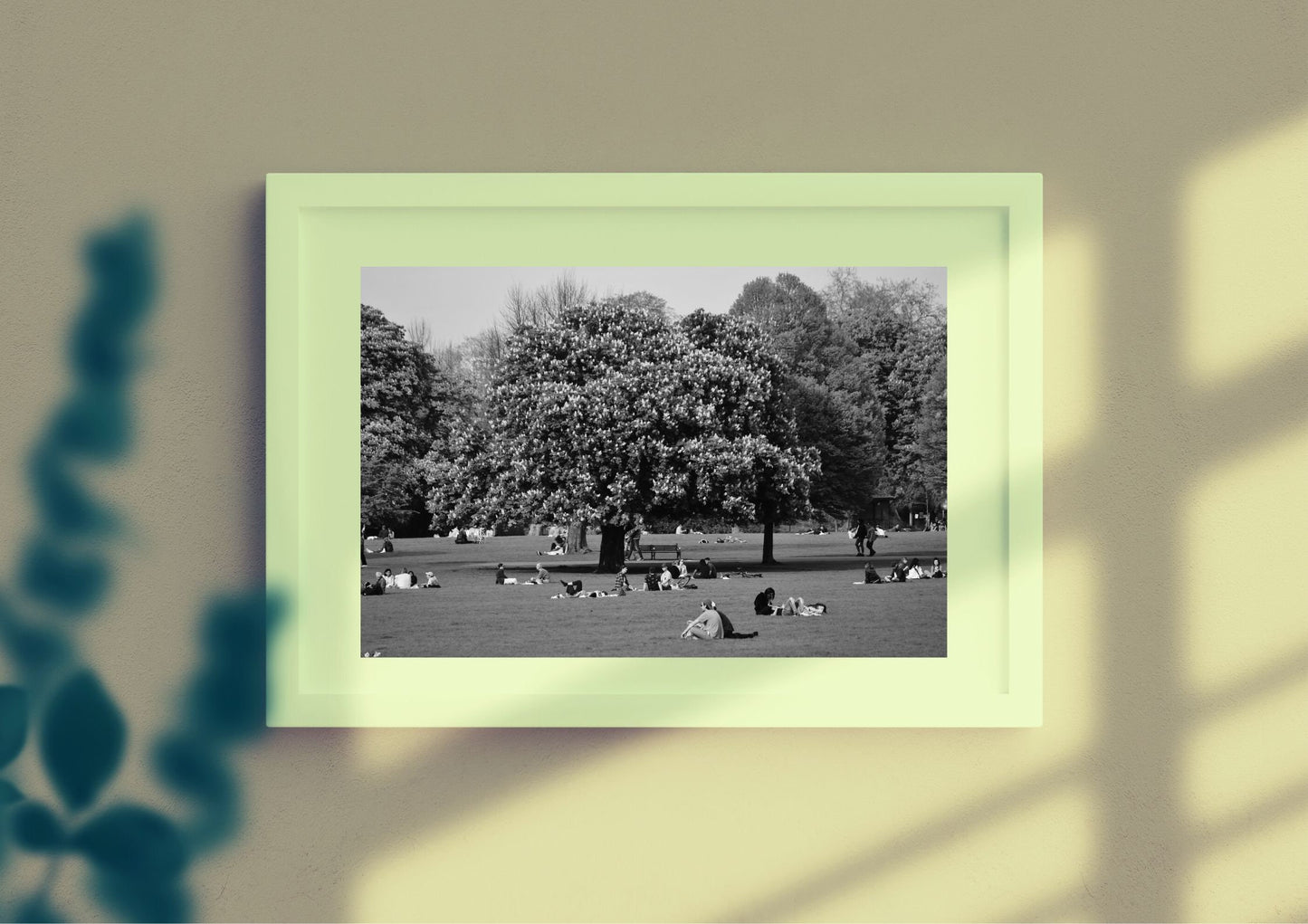 Clissold Park London Black And White Photography Print