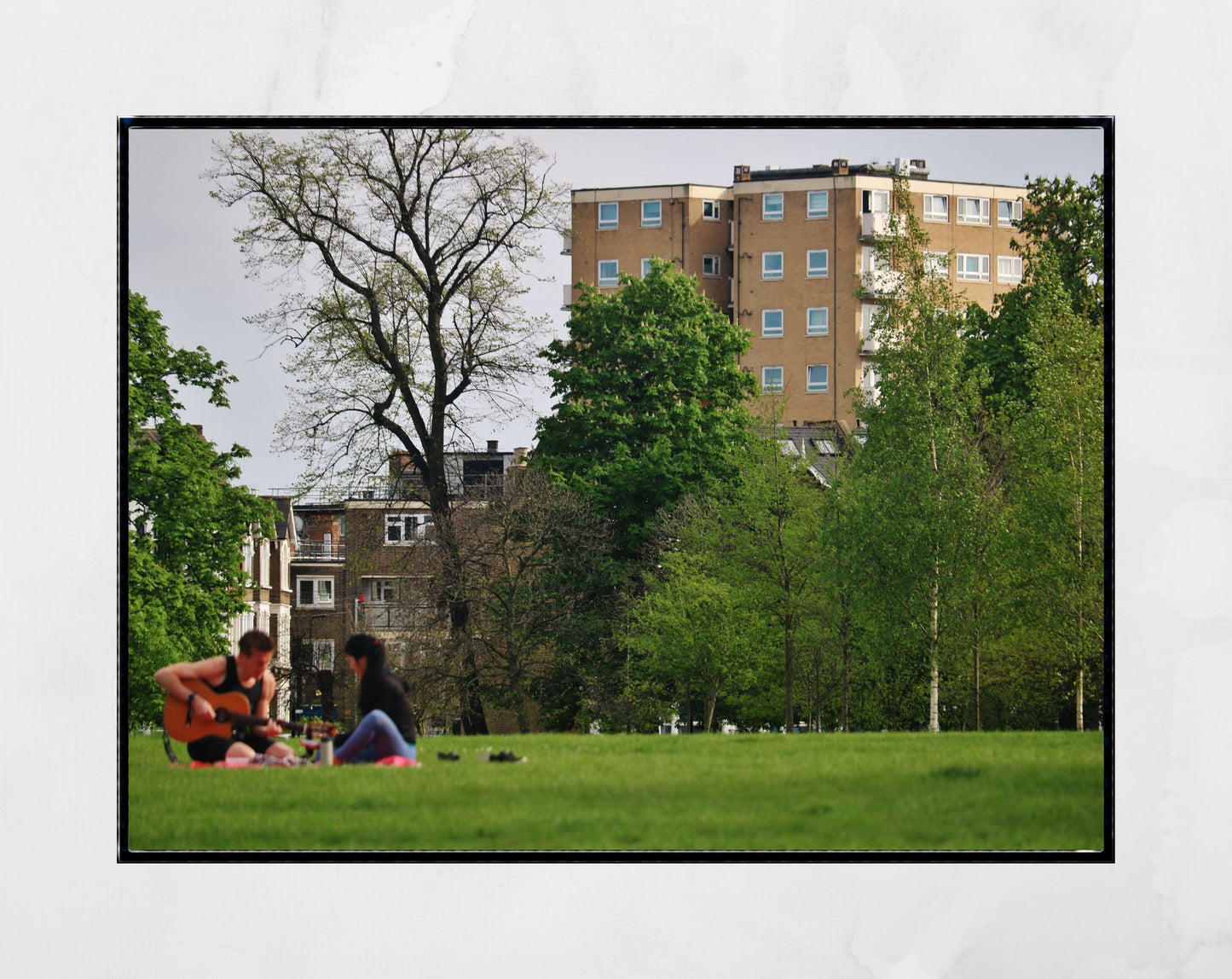 Clissold Park London Photography Wall Art