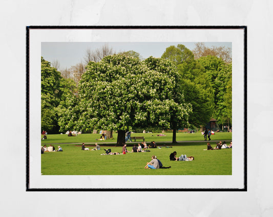 Clissold Park London Photography Print